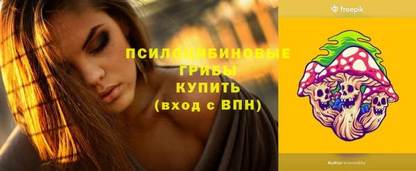 Альфа ПВП Анива